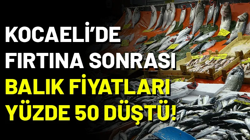 Kocaeli'de olumsuz hava şartları nedeniyle yükselen balık fiyatları, havanın düzelmesiyle