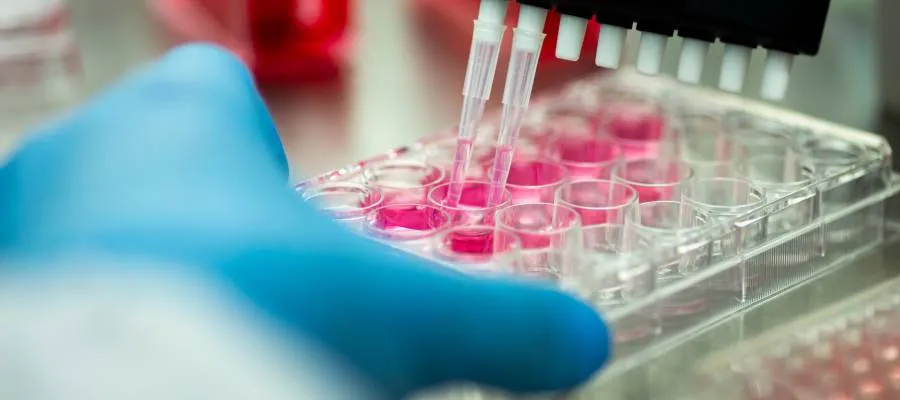 Son yıllarda genetik testler, hastalık risklerini belirlemeden soy ağacı analizine