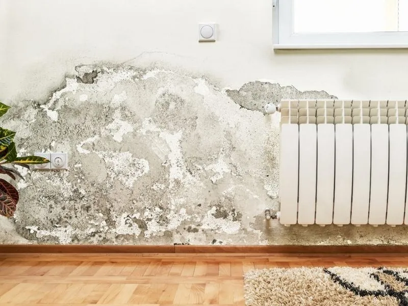 Kış aylarında havaların soğuması ve havalandırmanın azalmasıyla birlikte birçok evde