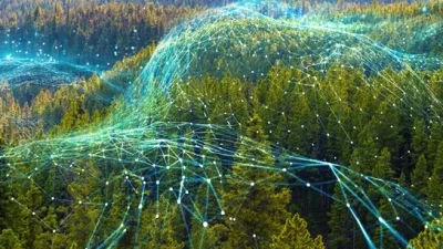 Yaz aylarında Türkiye’nin dört bir yanında yaşanan orman yangınları, hem