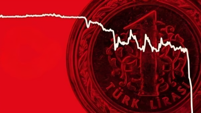 Türkiye Cumhuriyet Merkez Bankası (TCMB), “Reel Efektif Döviz Kuru Gelişmeleri”