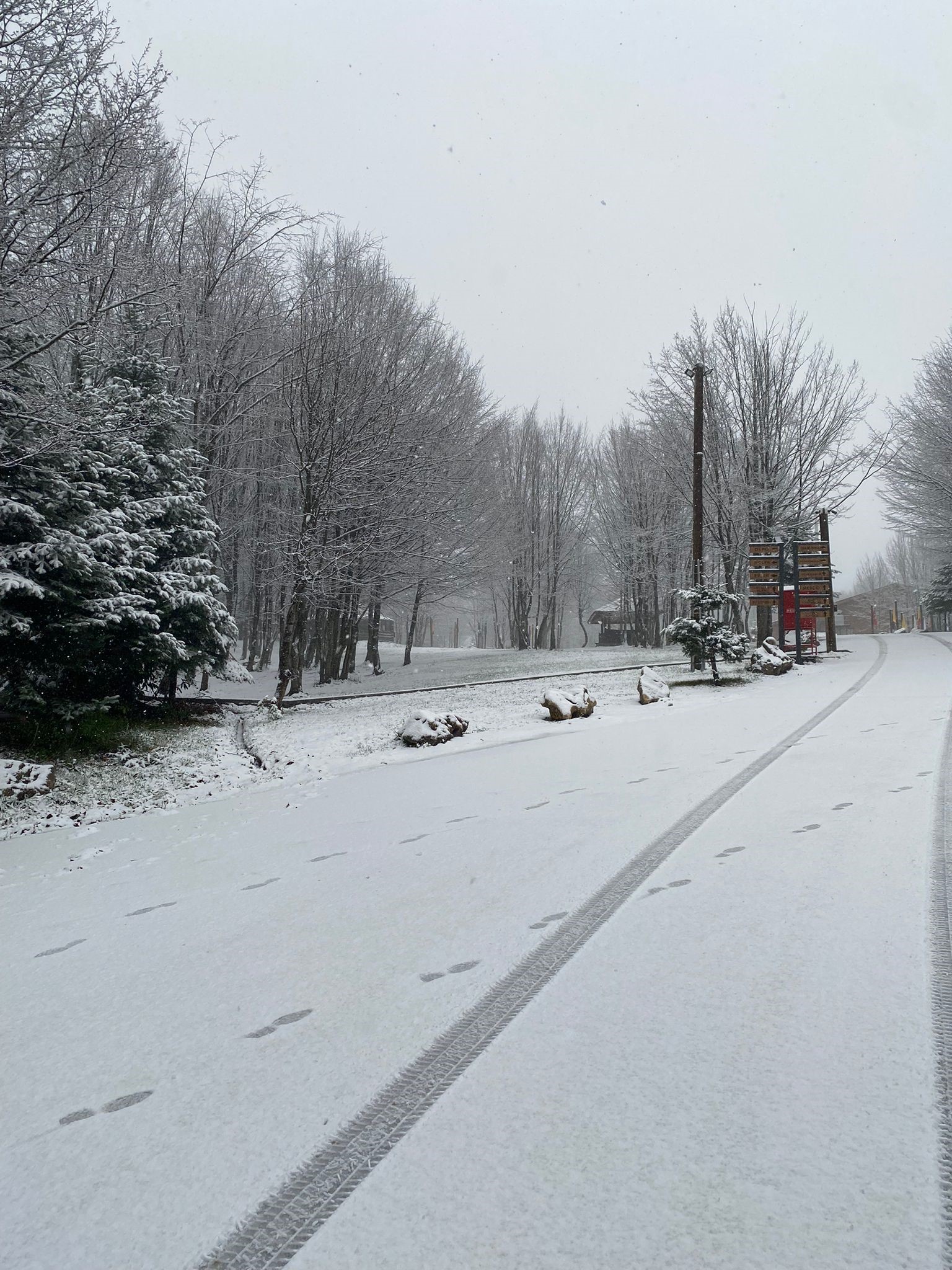 Kartepe'ye lapa lapa kar yağıyor