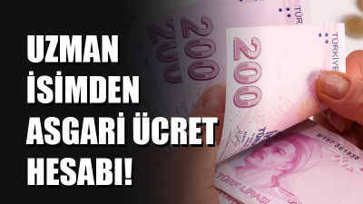 Çalışma Ekonomisi Uzmanı Prof. Dr. Aziz Çelik, Asgari Ücret Tespit