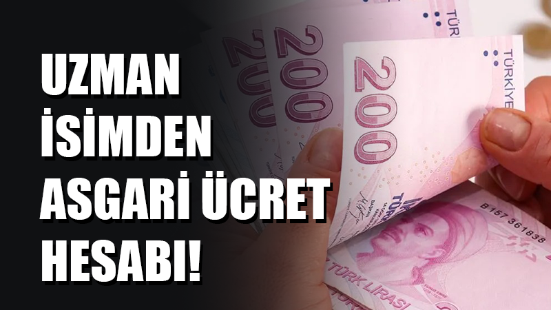 Çalışma Ekonomisi Uzmanı Prof. Dr. Aziz Çelik, Asgari Ücret Tespit