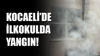 Kocaeli'nin Derince ilçesinde bir ilkokulun bodrum katındaki kağıt deposunda çıkan