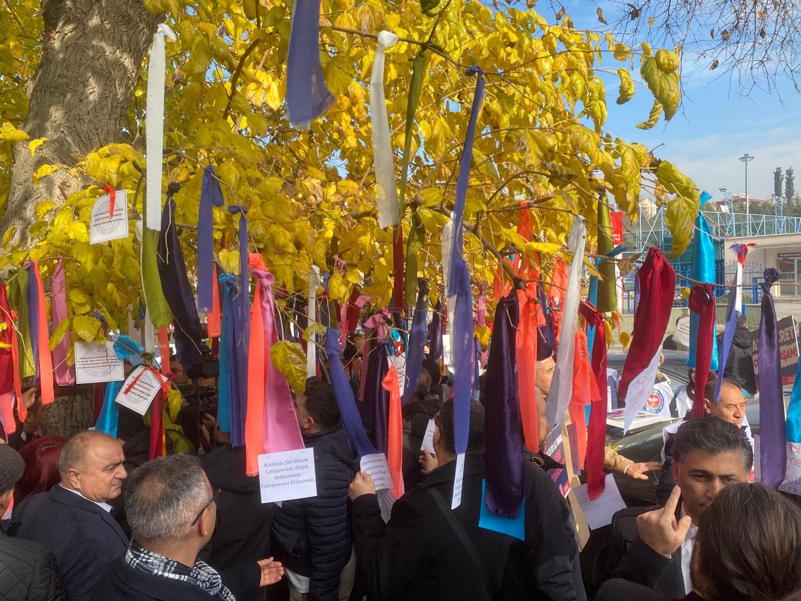 Memurlar bakanlığın önündeki ağacı 'dilek ağacı'na çevirdi