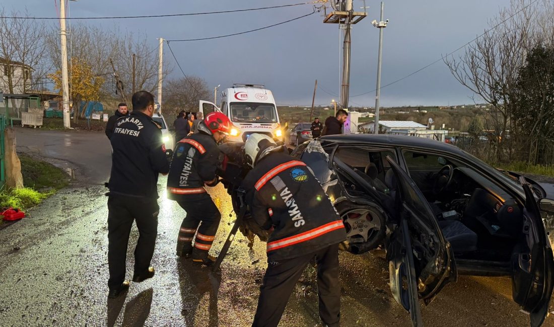 Sakarya'da yola aniden atlayan köpeğe çarpmamak için direksiyonu kıran otomobil