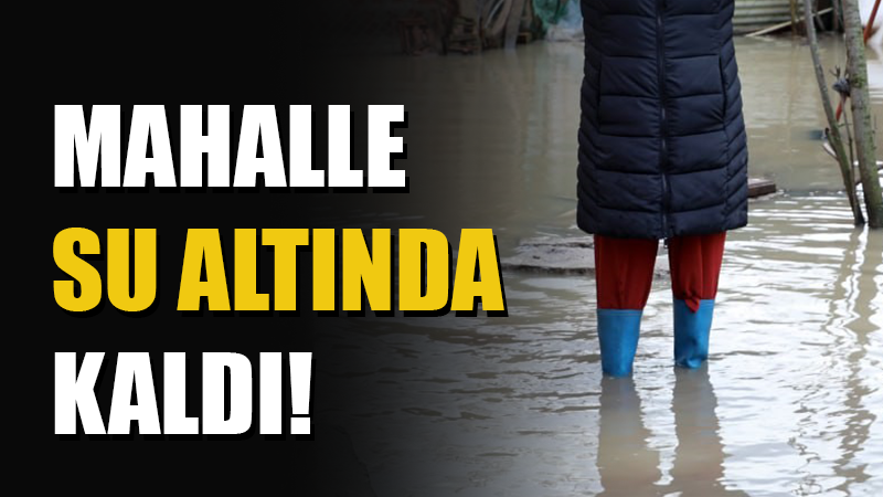 Sakarya'nın Karasu ilçesinde Sakarya Nehri kıyısında bulunan evler, etkili olan