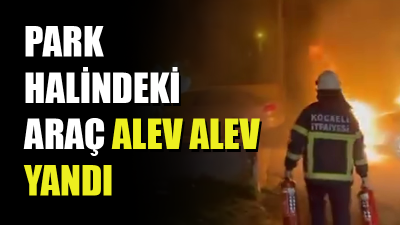 Kocaeli’nin Darıca ilçesinde park halinde bulunan otomobilde çıkan yangın paniğe