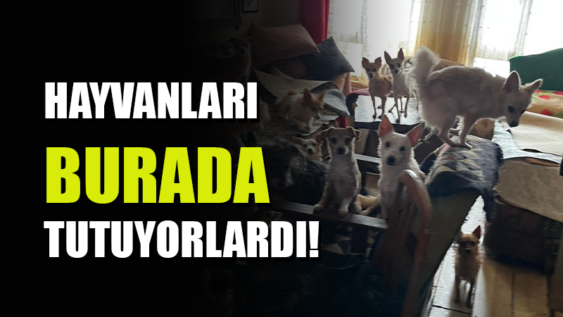 Kandıra Kaymakamlığı ve Kandıra Belediye Başkanlığı’na, bir evde çok sayıda