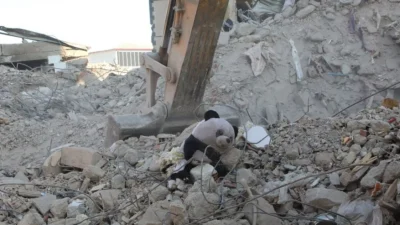 ABD’de yayımlanan yeni Epstein dosyaları, Türkiye’de depremler sonrasında kaybolan kız