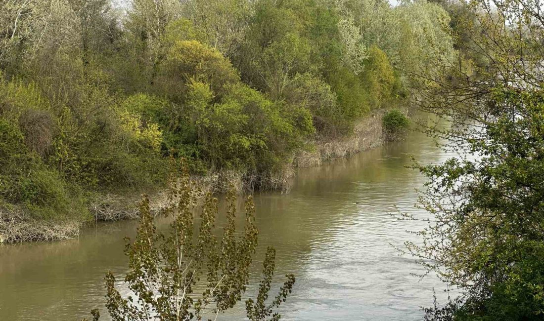 Sakarya’nın Adapazarı ilçesinde bulunan Taşlık Mahallesi yakınlarında üzücü bir olay