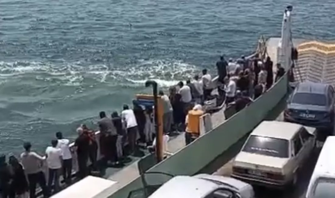  Kocaeli'de seyir halindeki feribottan denize düşen yolcu, büfe çalışanı