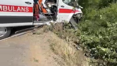 Kocaeli'nin Kandıra ilçesinde hasta taşıdığı sırada kontrolden çıkarak yeşillik alana