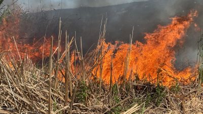  Kocaeli'nin Kartepe ilçesinde bulunan SEKA Kamp Piknik Alanı çevresindeki