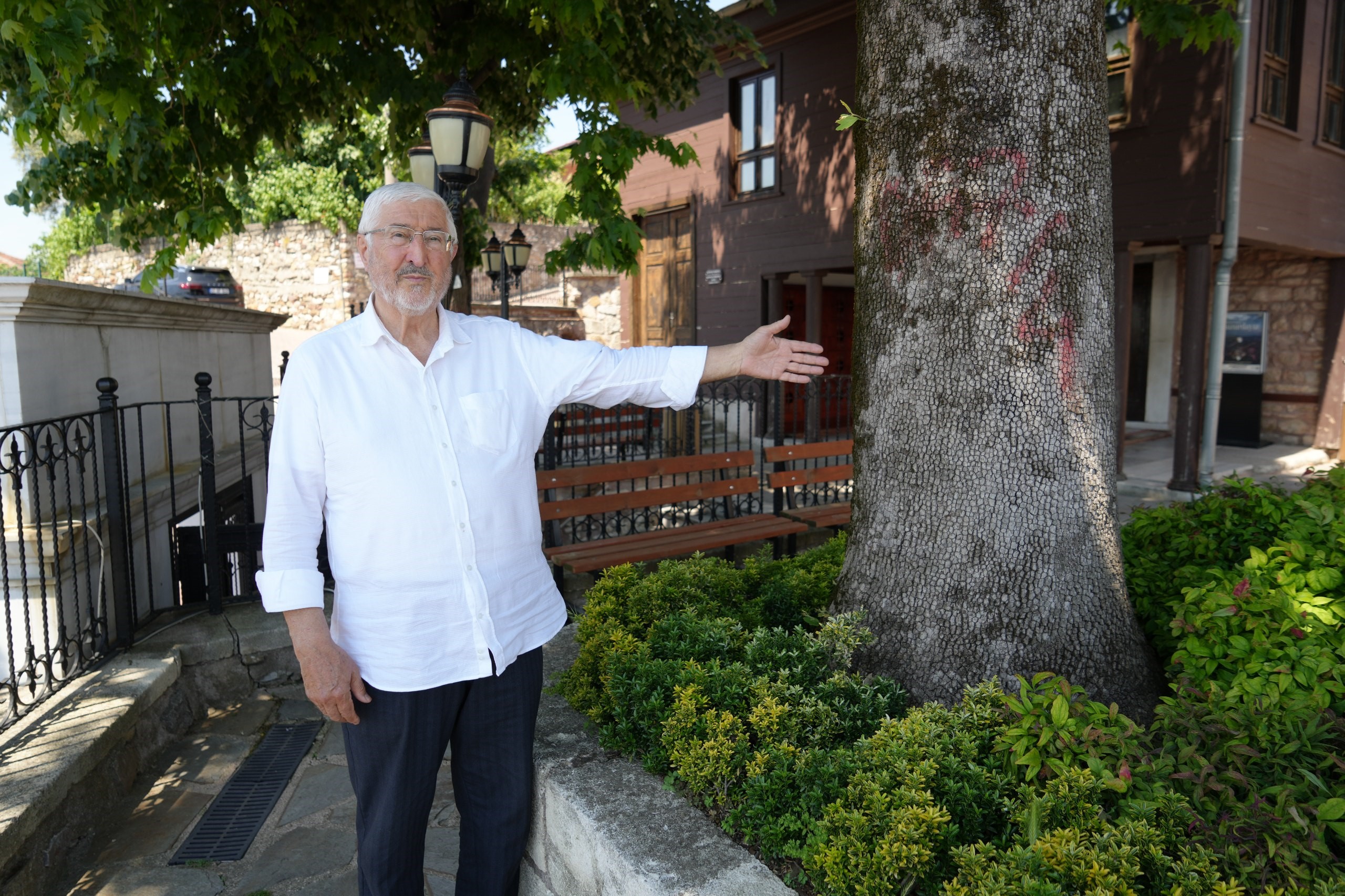 çınar 2
