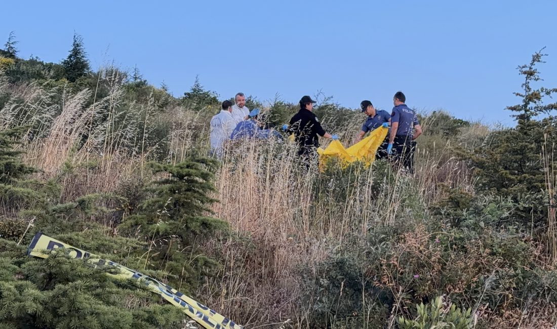 Kocaeli'de yürüyüş alanında hareketsiz halde bulunan yaşlı adamın hayatını kaybettiği