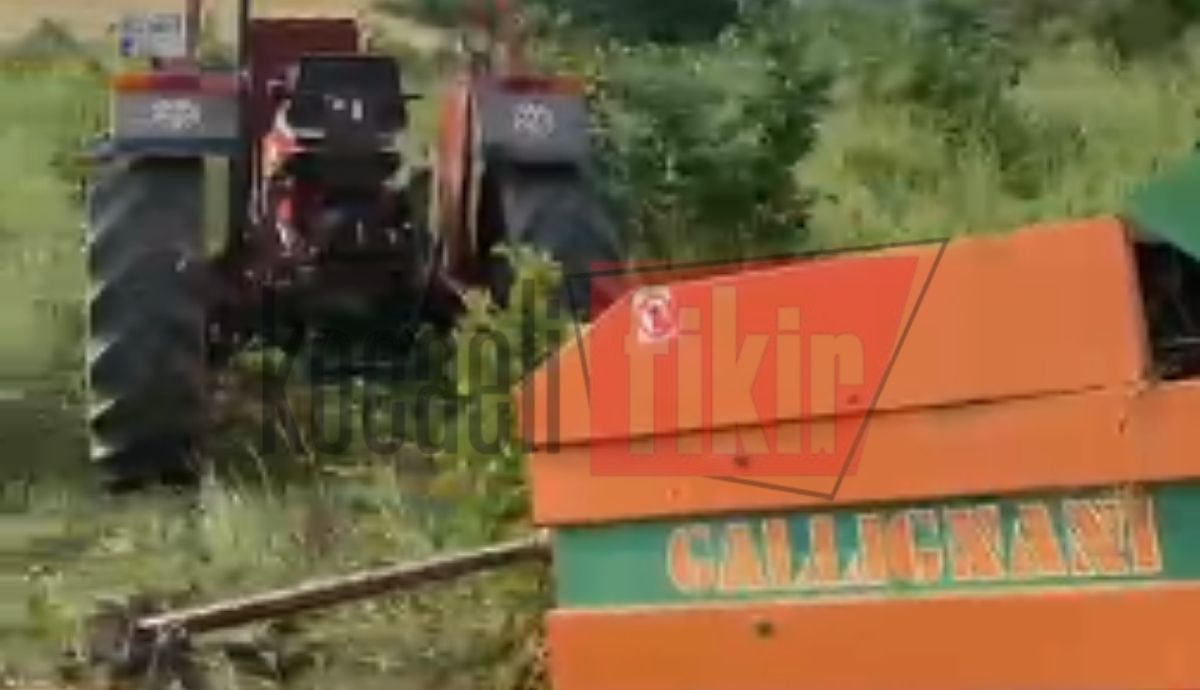 Kocaeli'nin İzmit ilçesine bağlı Kurtdere
