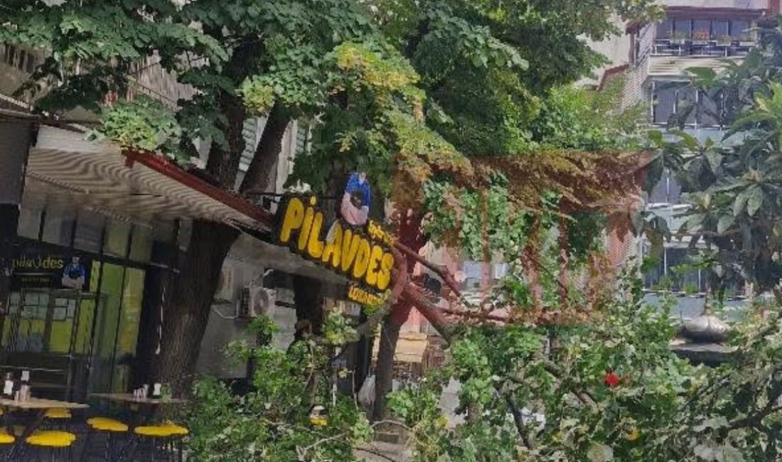 İzmit kent merkezinde sabah saatlerinde yaşanan olay, kısa süreli paniğe