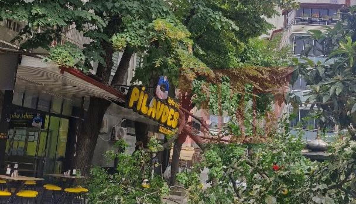 İzmit Çarşı’da ağaç devrildi!