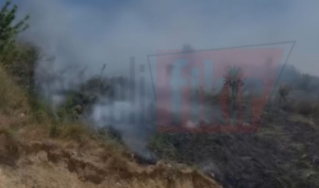 Kocaeli’nin Darıca ilçesinde bulunan otluk alanda çıkan yangın, çevrede kısa