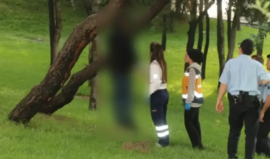Kocaeli'nin Körfez ilçesinde sabah saatlerinde yaşanan olay, bölgede üzüntüye neden