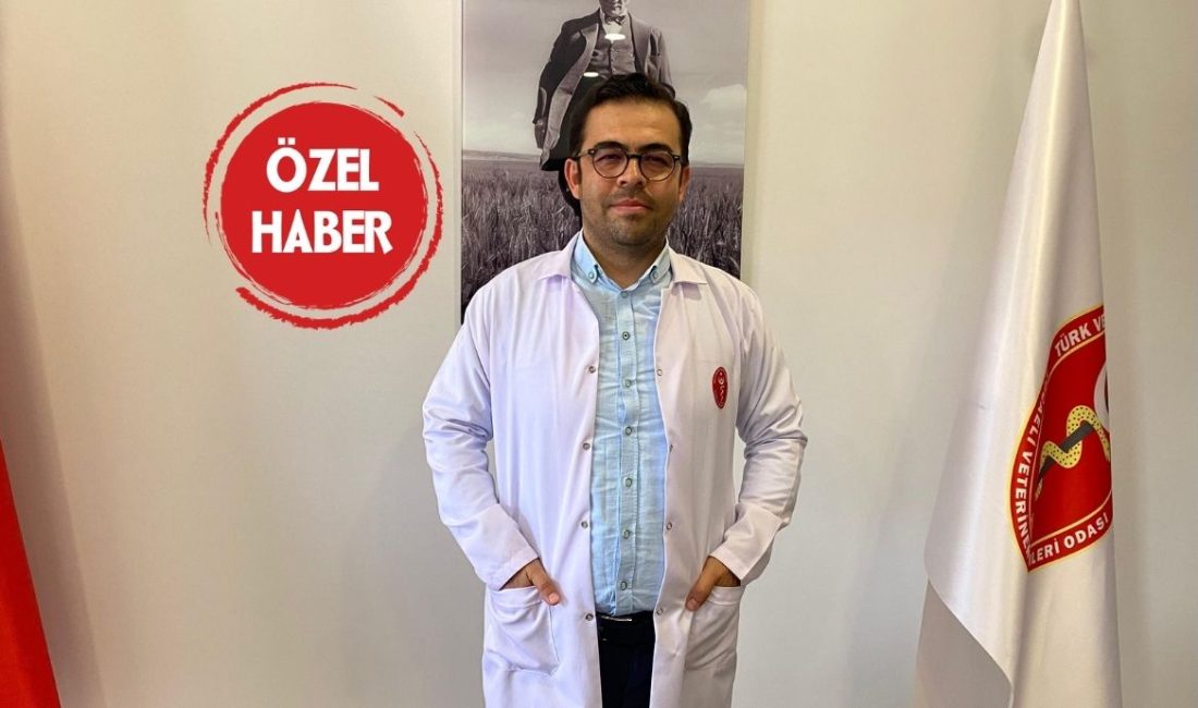 Son zamanlarda Kocaeli’nin farklı ilçelerinde yerleşim alanlarında görülen yılanlar vatandaşlar