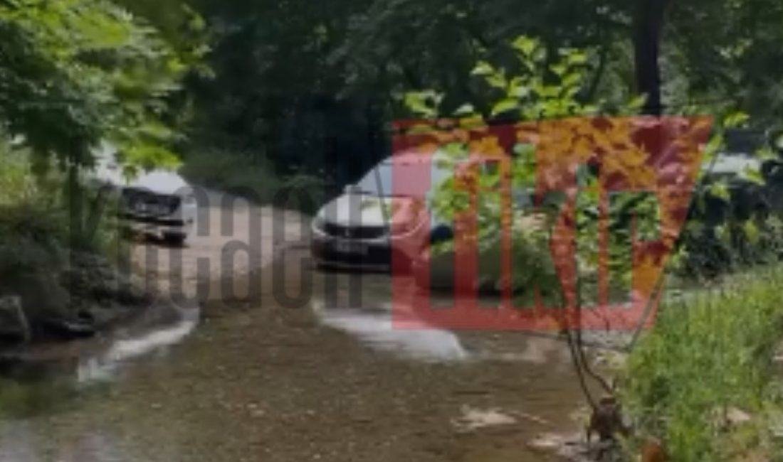 Kocaeli'nin Derince ilçesinde bulunan Çınarlıdere Mesire Alanı'nda bir sürücünün aracını