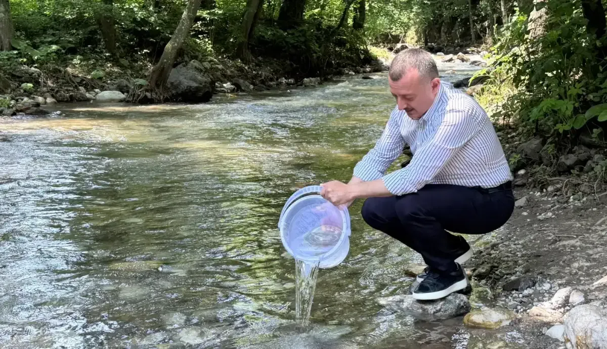 büyükakın 2 alabalık